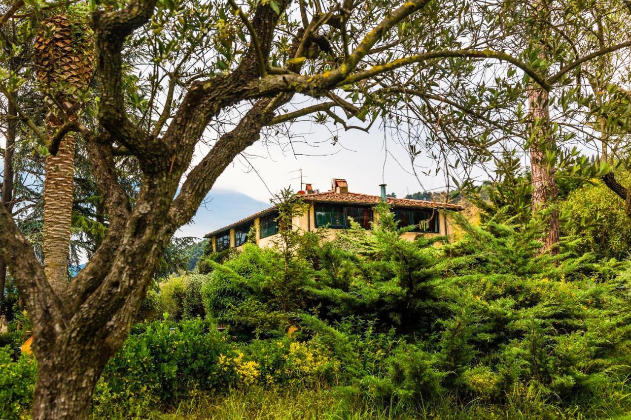 Casa Matilde Bed & Breakfast Mommio Екстериор снимка